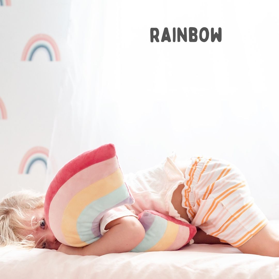 FREE Rainbow Pillow with any Rug purchase